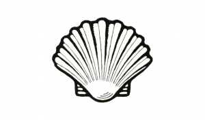 Shell-Logo und -Symbol: Geschichte, Bedeutung und Entwicklung