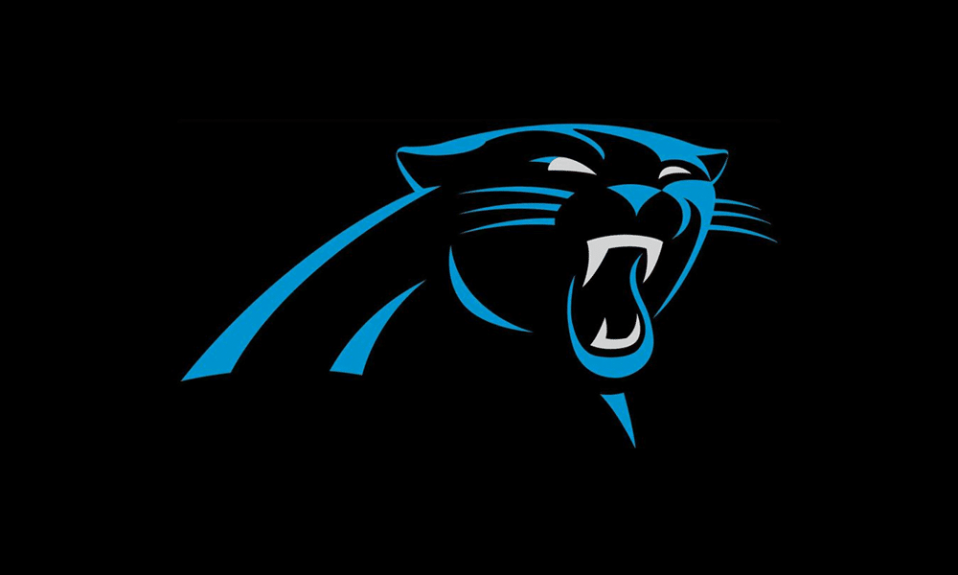 Carolina Panthers logo cover