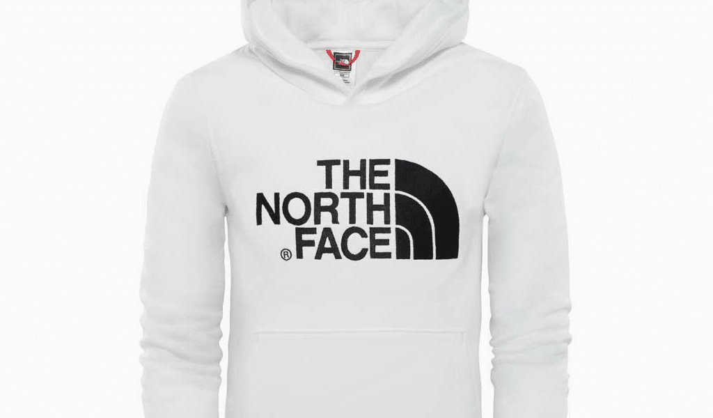 the north face original logo