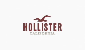 Hollister Logo Design – History, Meaning and Evolution | Turbologo