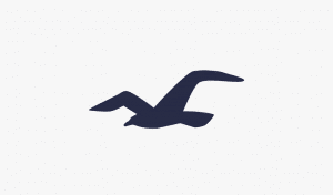 Hollister Logo Design – History, Meaning and Evolution | Turbologo