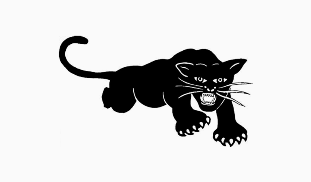 Black panter logo