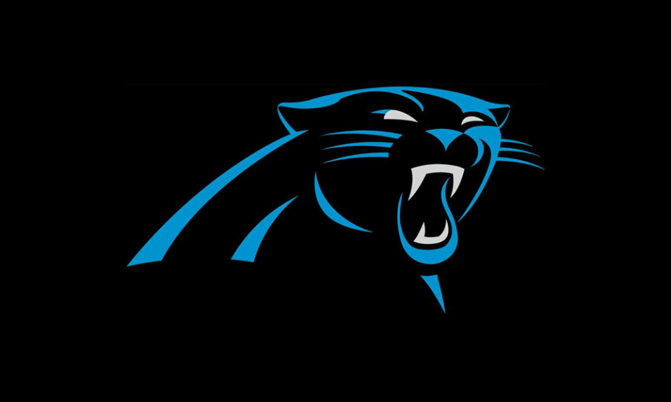 Carolina Panthers Logo Design - História e Significado