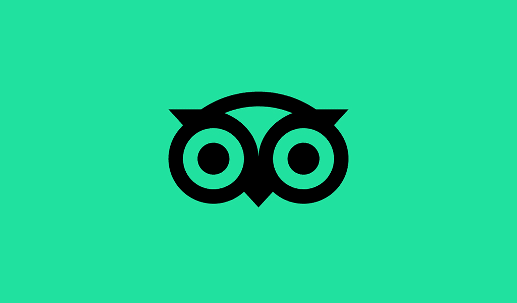 Owl Logo Brand Name