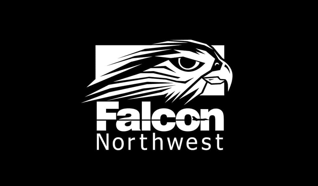 Falcon kuzeybatı logo tasarımı